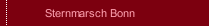 Sternmarsch Bonn